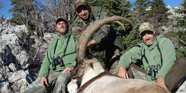 Bezoar Hunting